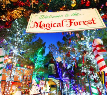 magicalforest